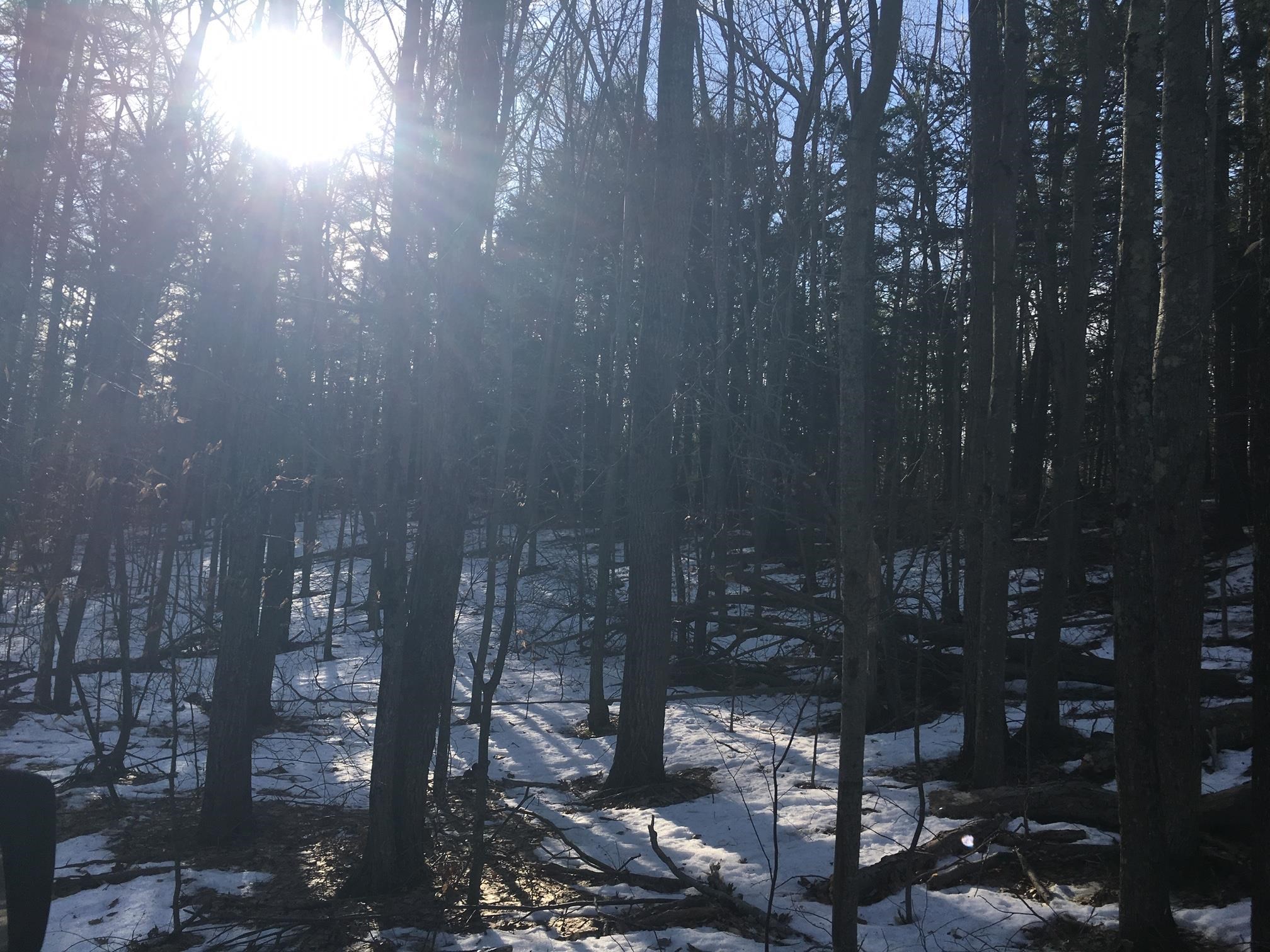 Lot 26 Ripley Lane Milton, NH 03851 - Photo 3 of 4