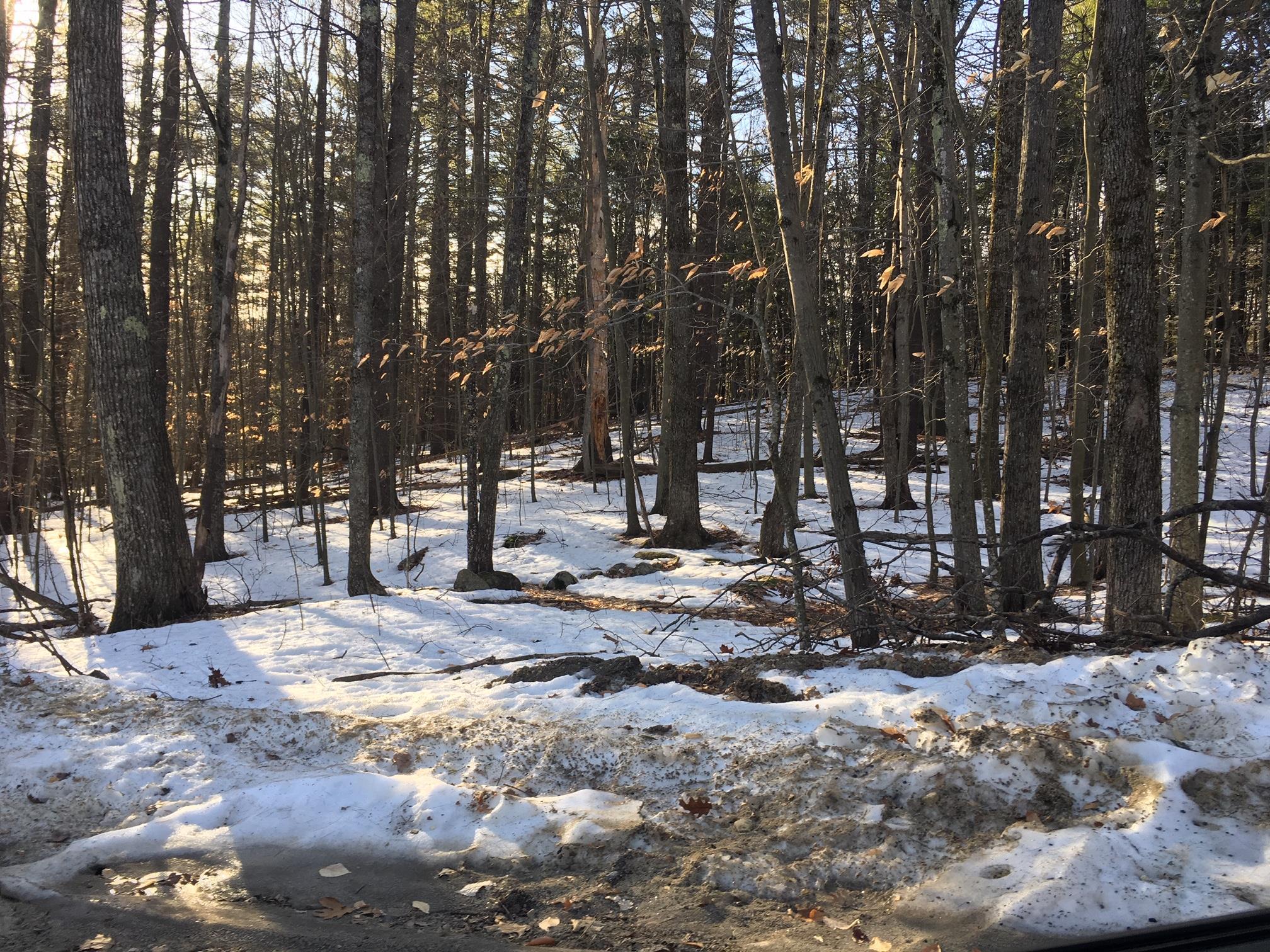 Lot 26 Ripley Lane Milton, NH 03851 - Photo 4 of 4