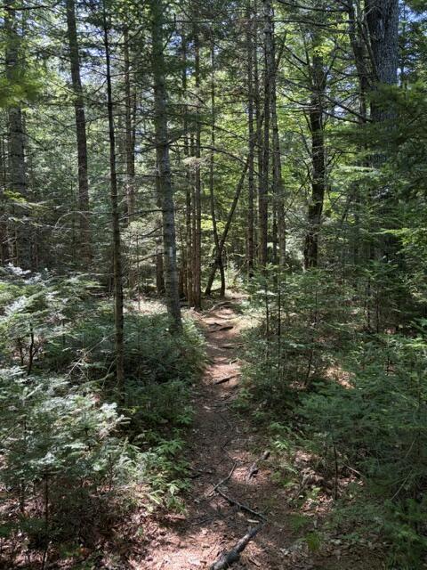 6 Newfield Road Freeport, ME 04032 - Photo 49 of 53 IMG_5447