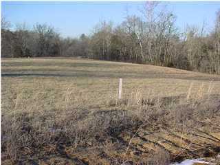 3 Clarktown Road Bardstown, KY 40004 - Photo 1 of 1 Primary Photo