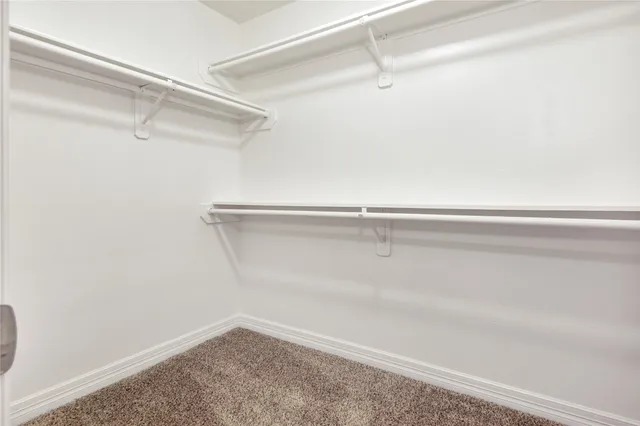 a close up view of racks on the wall