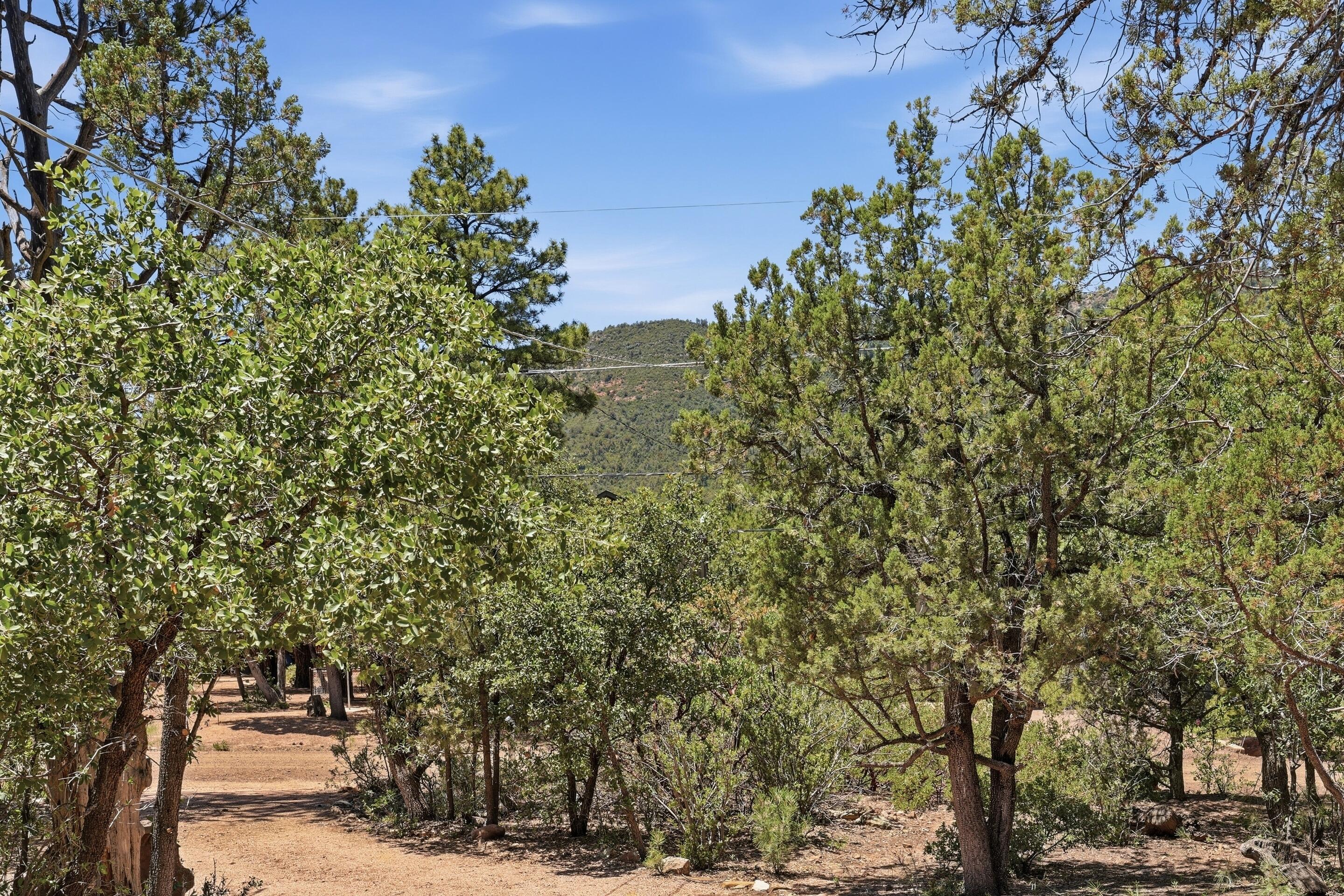 3215 Kysar Way Pine, AZ 85544 - Photo 25 of 25
