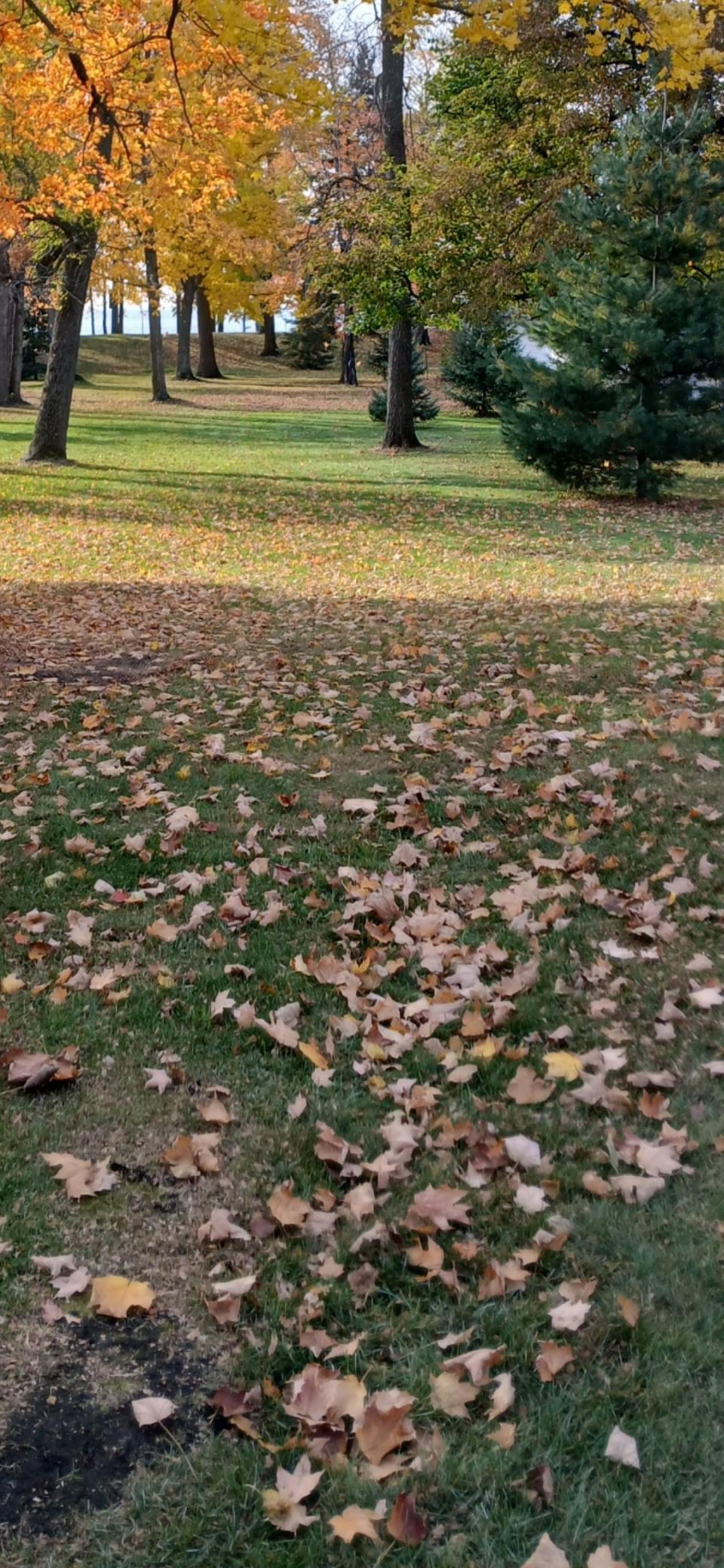 Tbd 328th Avenue Isle, MN 56342 - Photo 16 of 21