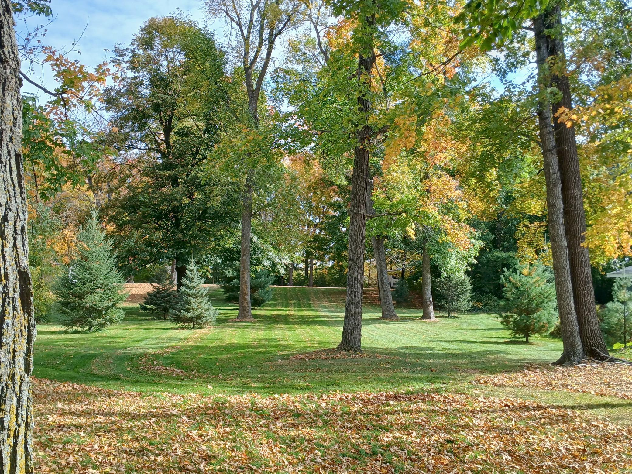 Tbd 328th Avenue Isle, MN 56342 - Photo 8 of 21