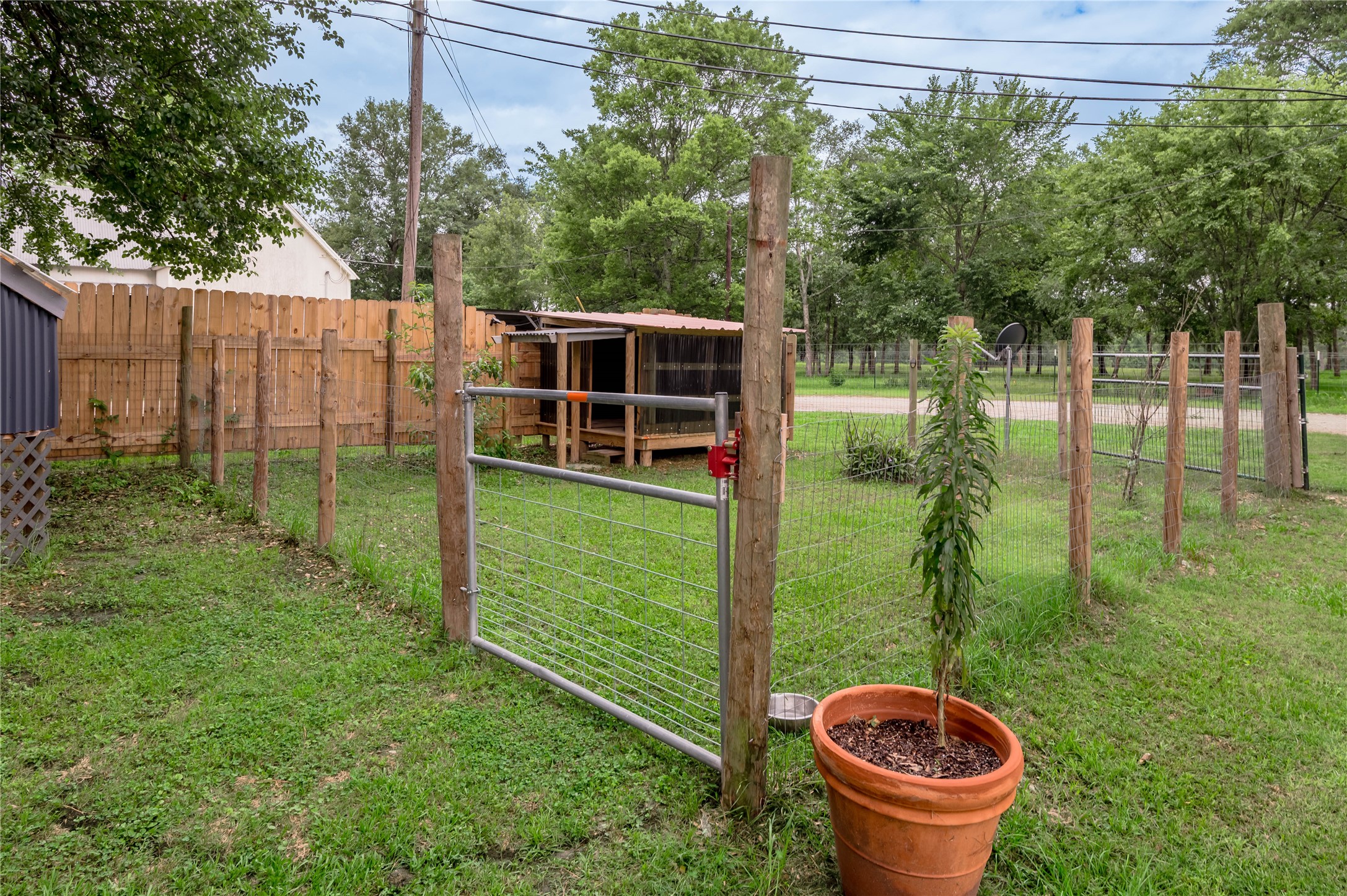 159 Pecan Avenue Groveton, TX 75845 - Photo 25 of 27 a view of a backyard