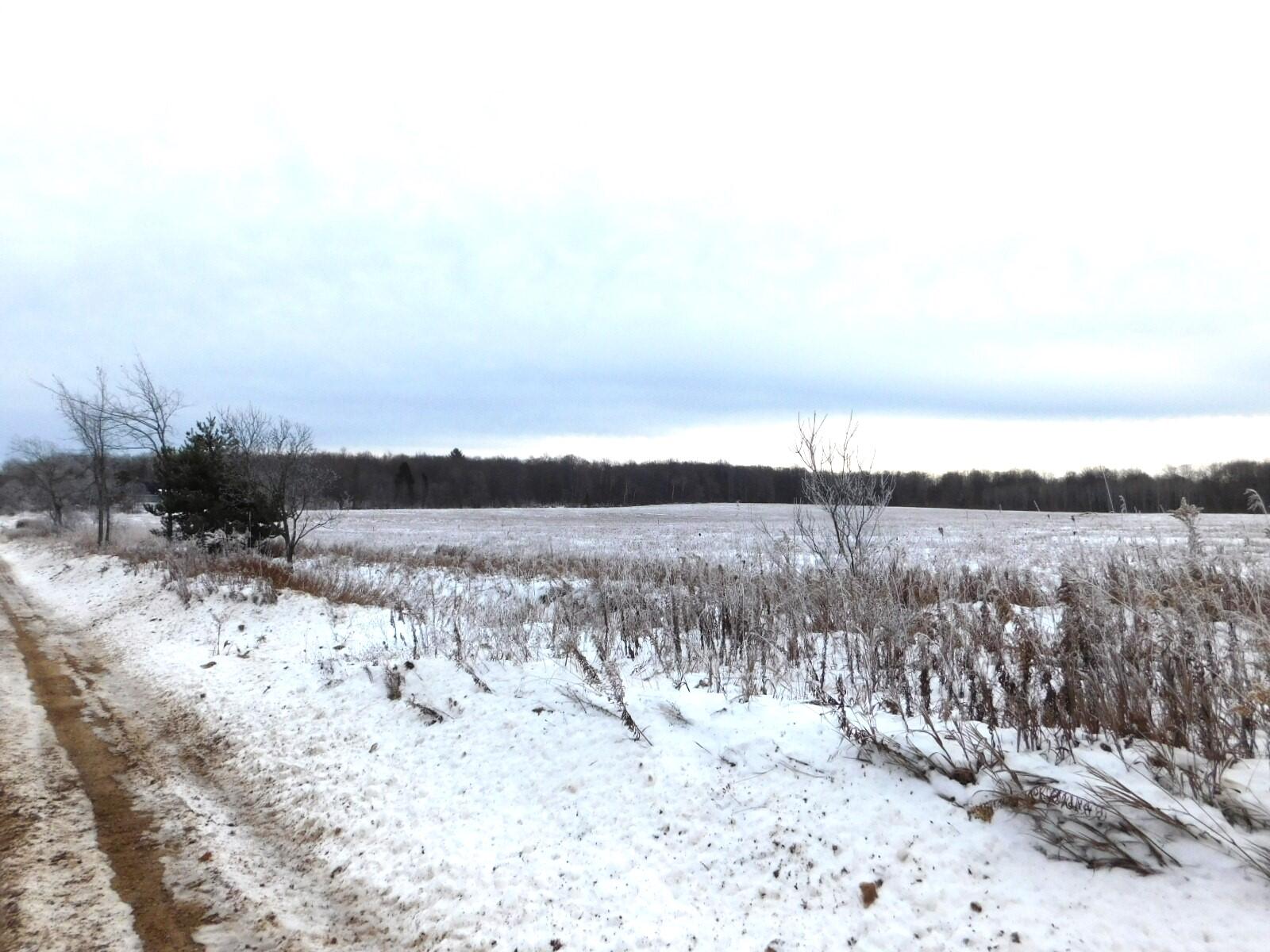 West Marker Road Grayling, MI 49738 - Photo 1 of 16 Gallery Image 1