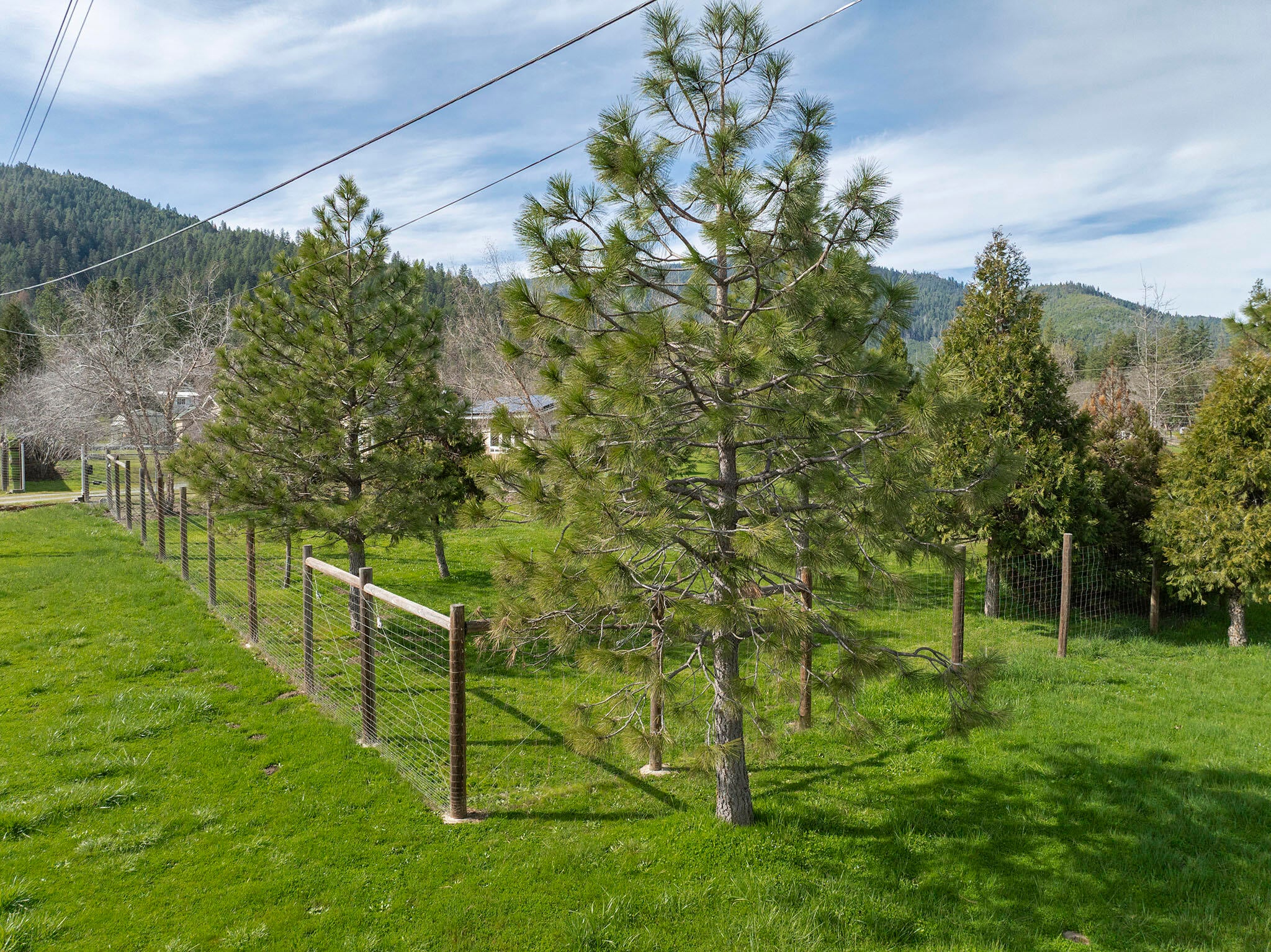 15902 Water Gap Road Williams, OR 97544 - Photo 55 of 67 54