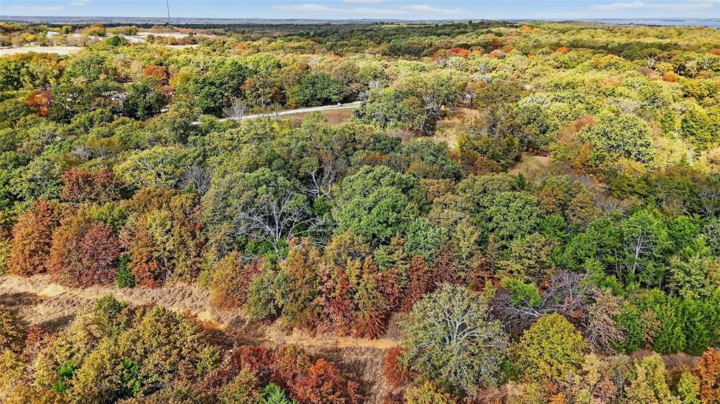 Lot 2 Locust Road Pottsboro, TX 75076 - Photo 17 of 21 a view of a yard