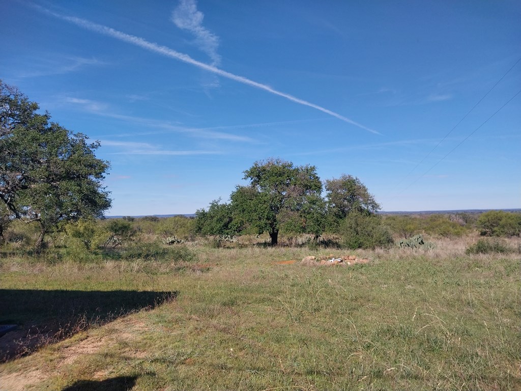 2540 County Road 403 Llano, TX 78643 - Photo 3 of 5 a view of a dry yard with wooden fence and trees
