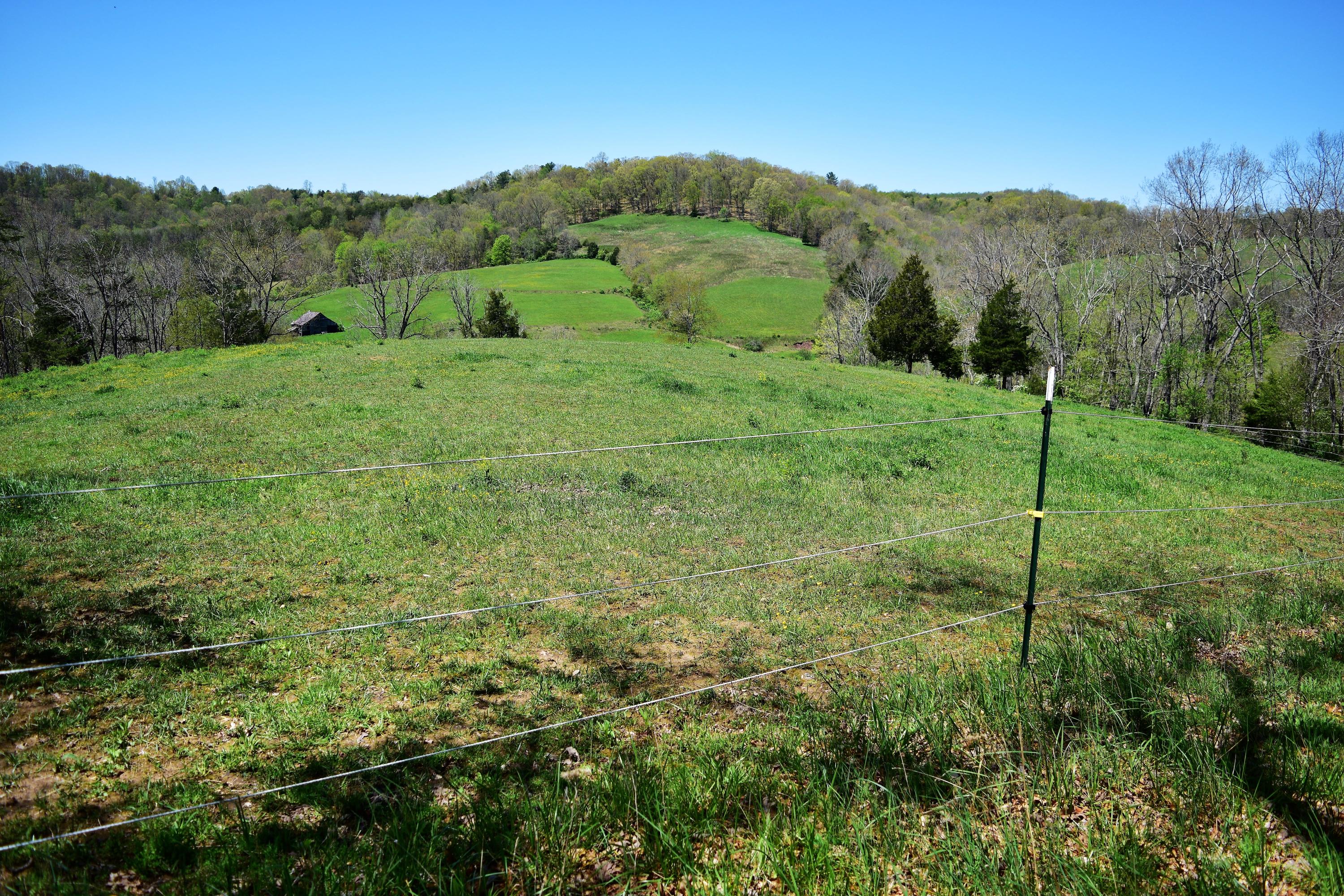 1124 Wayside Talcott Road Talcott, WV 24981 - Photo 23 of 54 Gallery Image 23