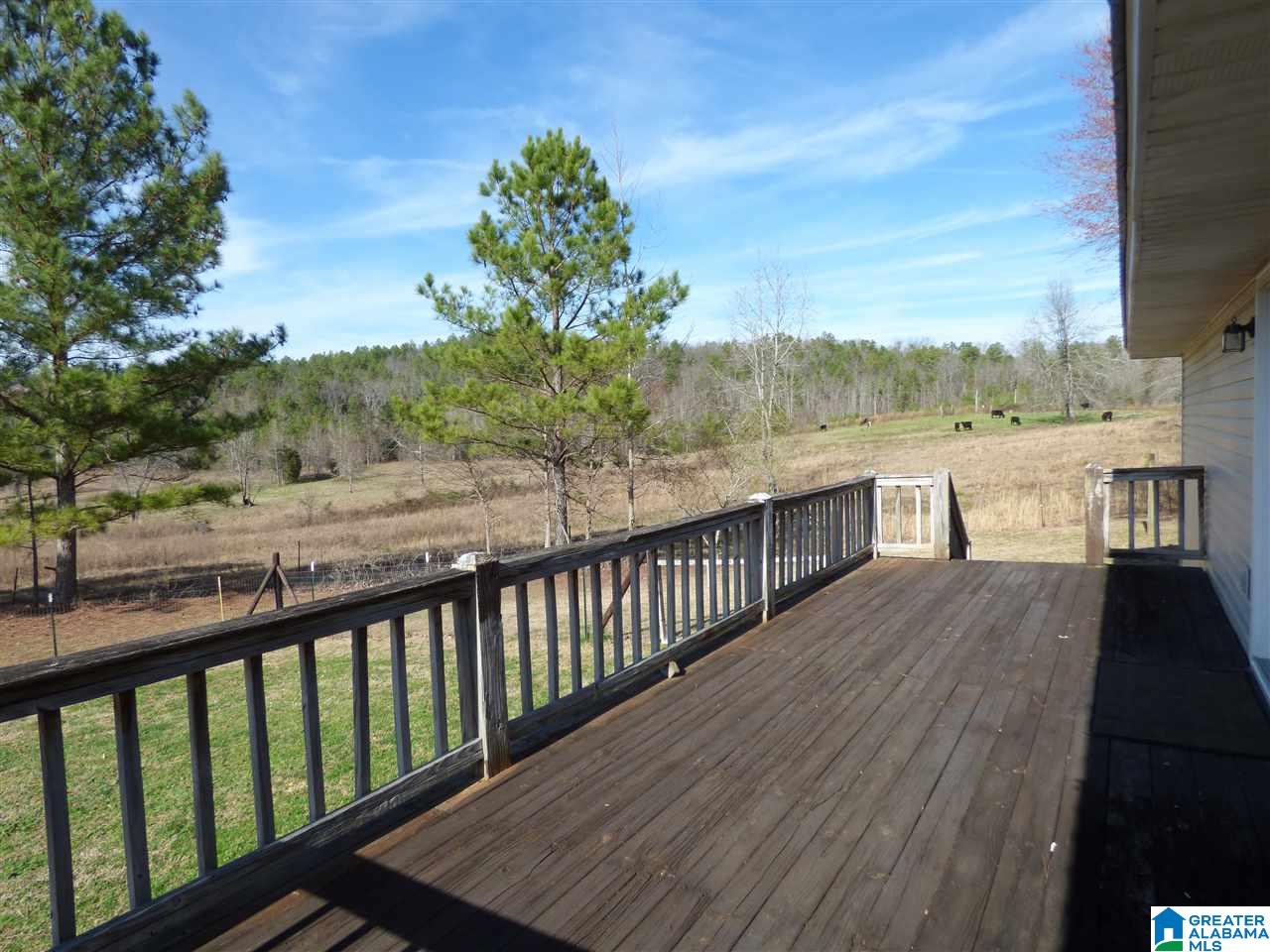 1430 Dripping Rock Road Piedmont, AL 36272 - Photo 23 of 41