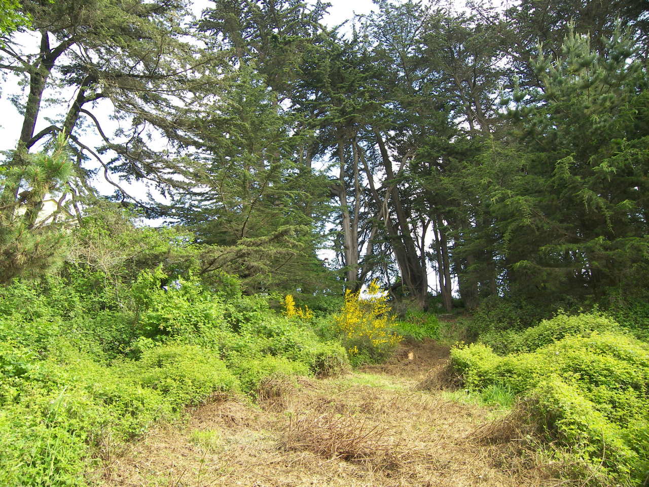 7156 Humboldt Hill Road Eureka, CA 95503 - Photo 30 of 31