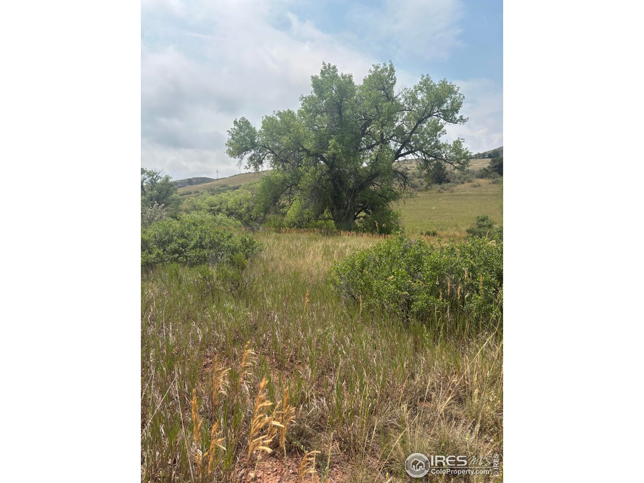 124 Springs Ranch Road Laporte, CO 80535 - Photo 11 of 15