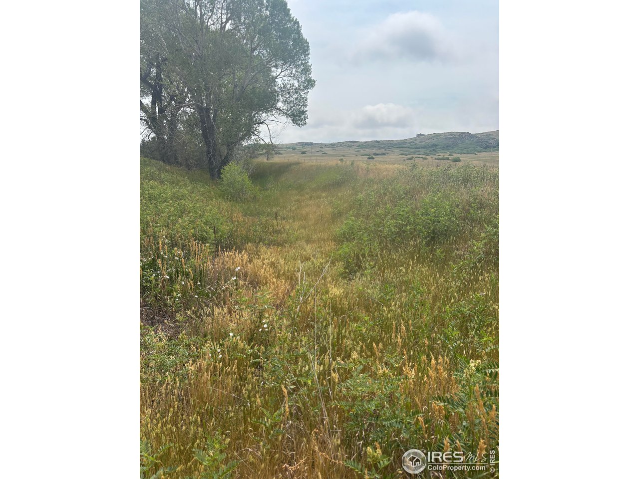 124 Springs Ranch Road Laporte, CO 80535 - Photo 12 of 15 a view of a lake from a hallway