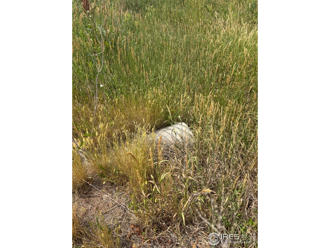 124 Springs Ranch Road Laporte, CO 80535 - Photo 14 of 15 a bathroom with a shower curtain