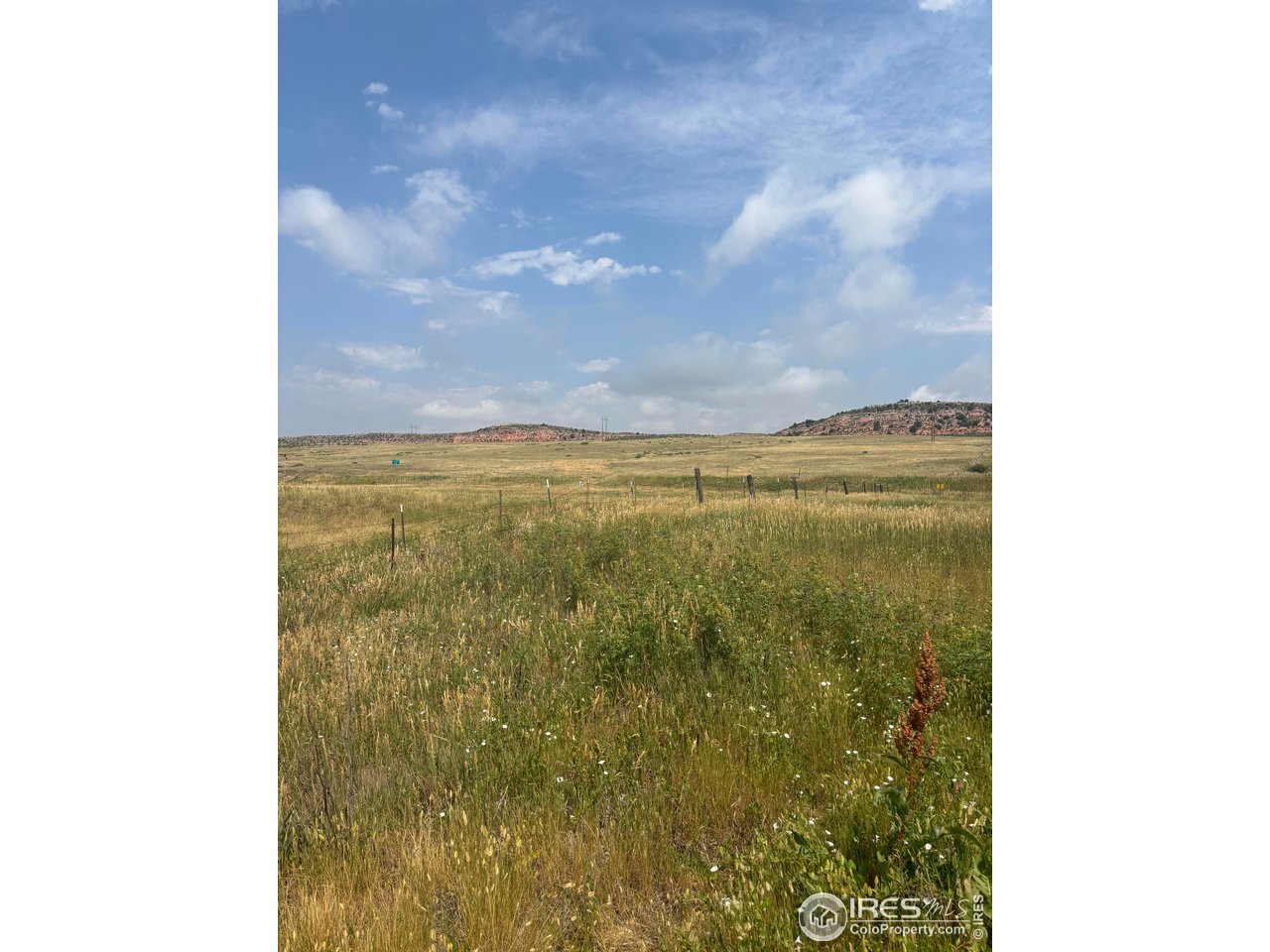 124 Springs Ranch Road Laporte, CO 80535 - Photo 15 of 15