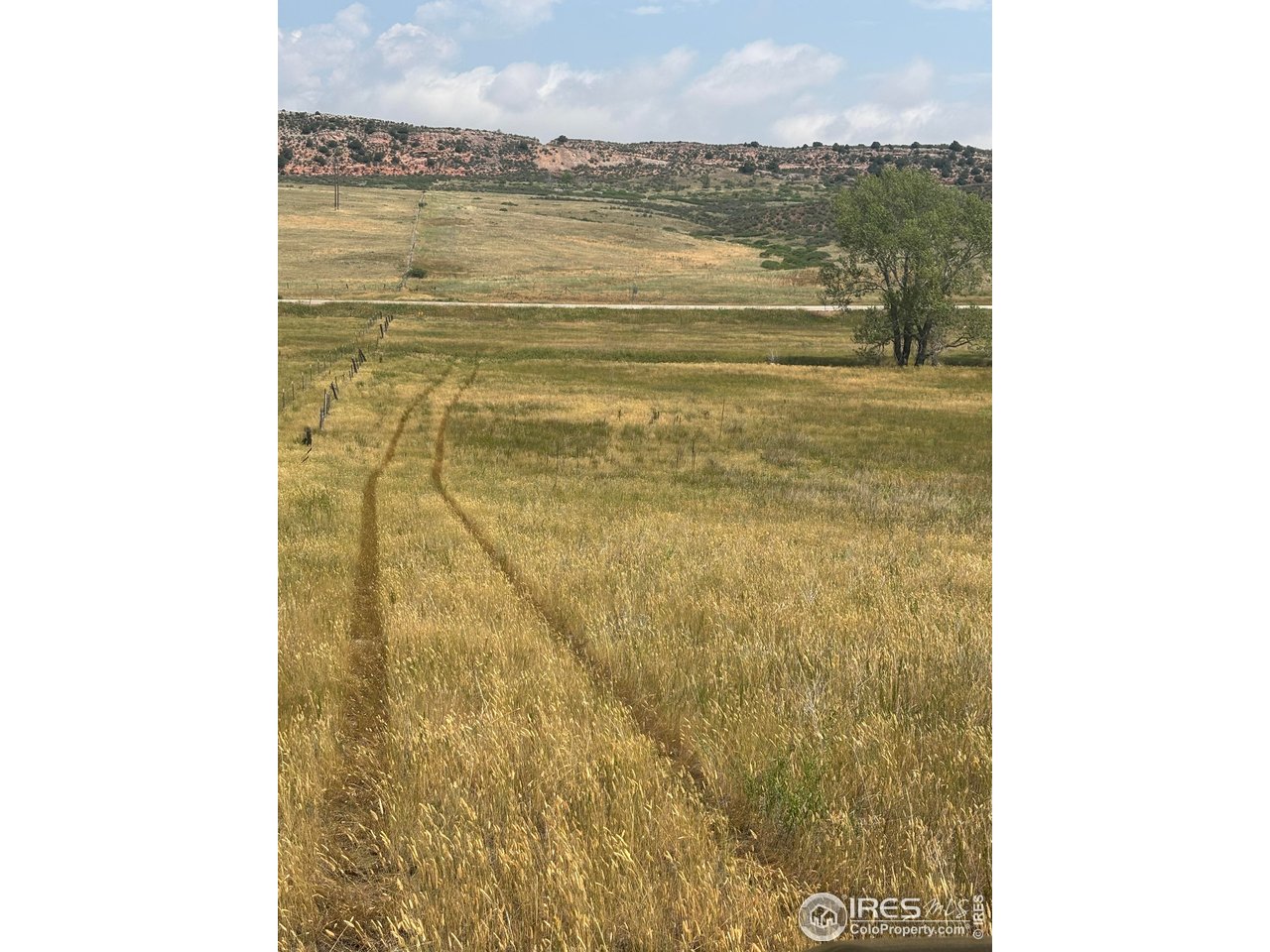 124 Springs Ranch Road Laporte, CO 80535 - Photo 3 of 15 a bathroom with a shower