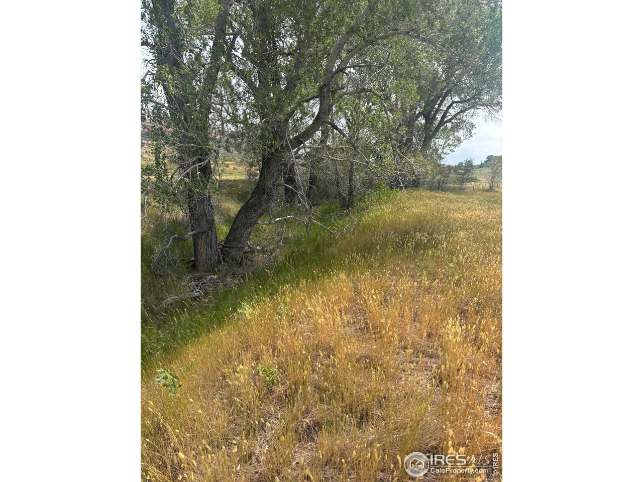 124 Springs Ranch Road Laporte, CO 80535 - Photo 4 of 15 a view of a lake from a hallway