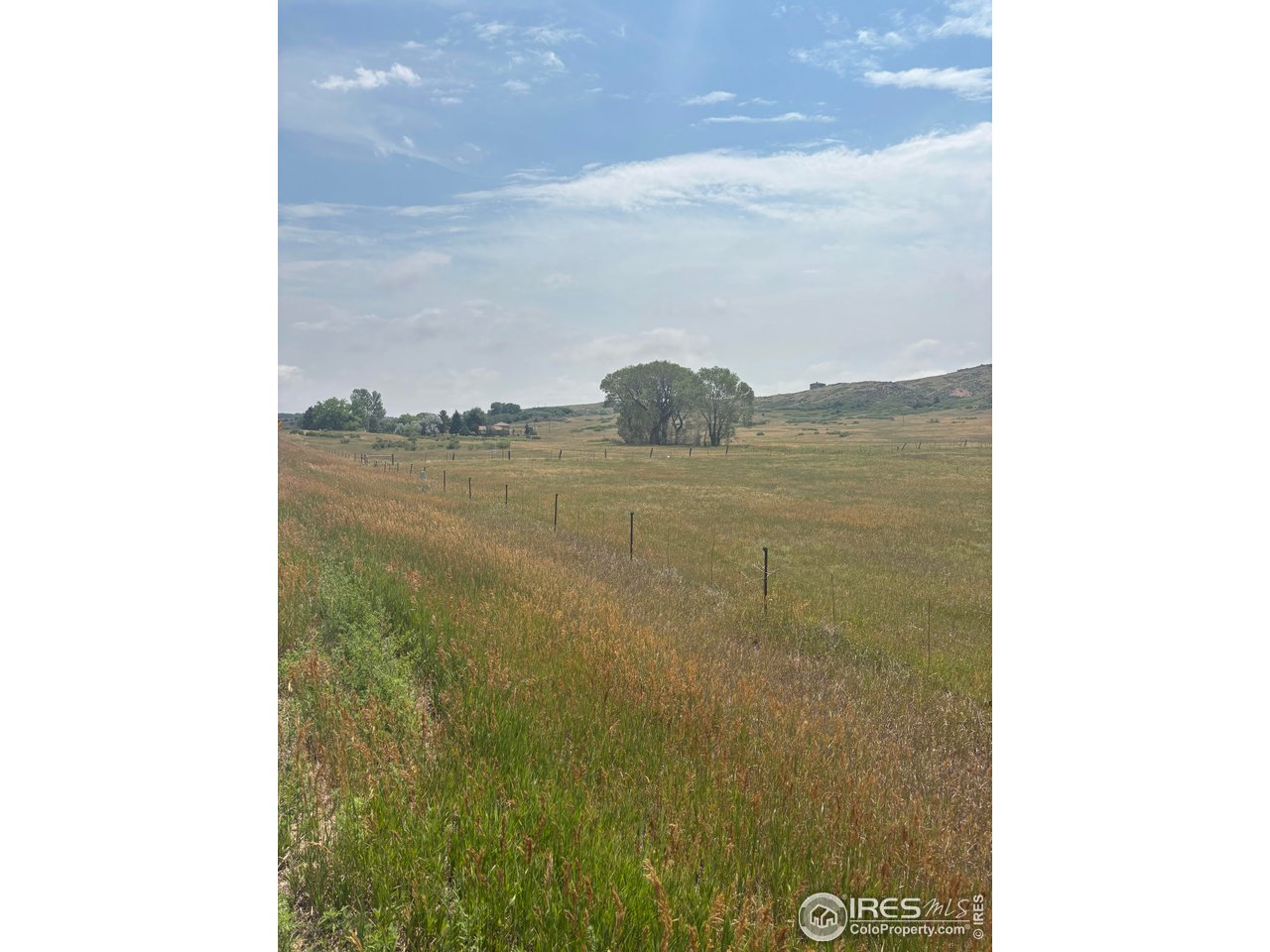 124 Springs Ranch Road Laporte, CO 80535 - Photo 6 of 15 a view of an ocean