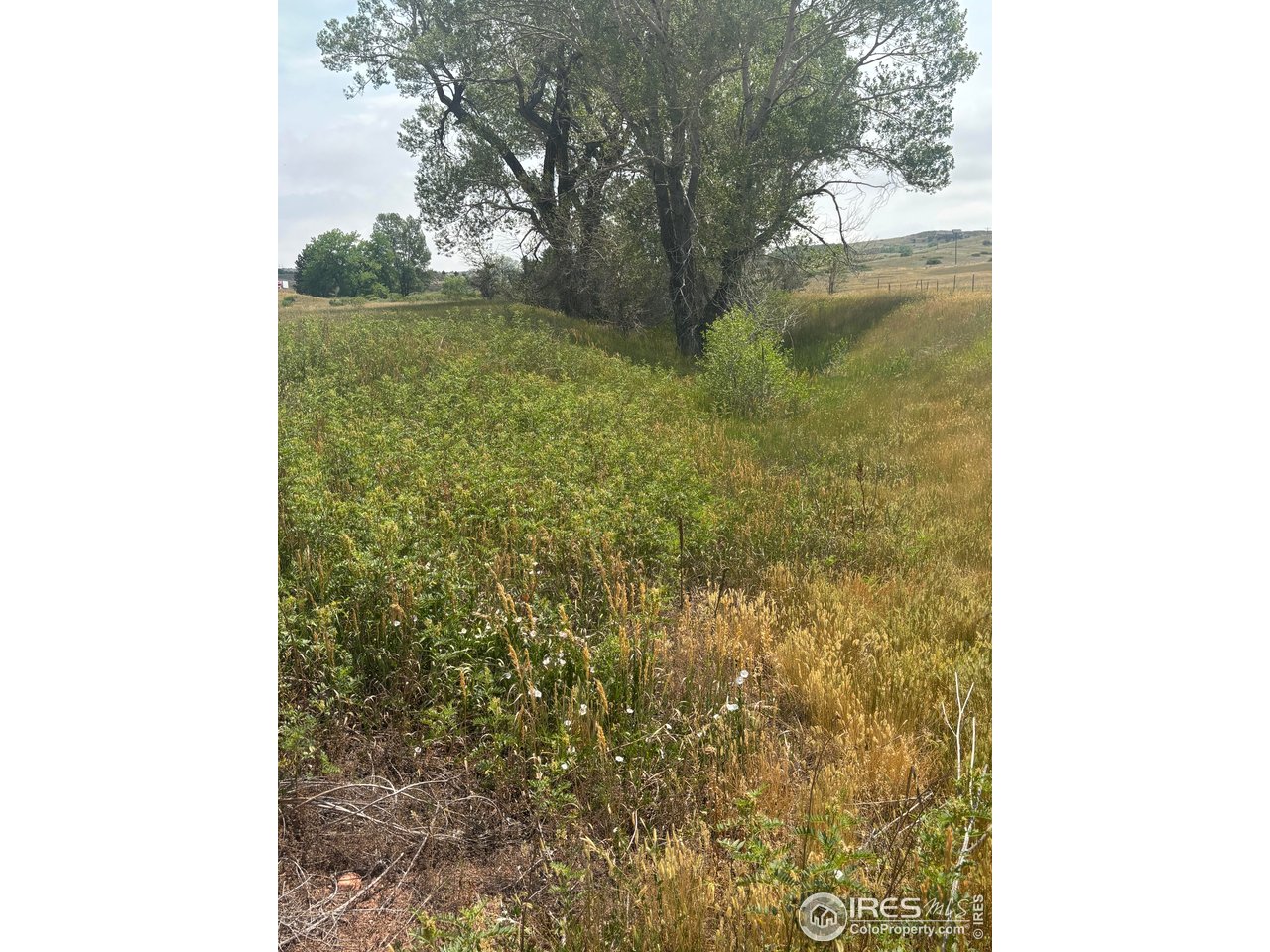 124 Springs Ranch Road Laporte, CO 80535 - Photo 7 of 15
