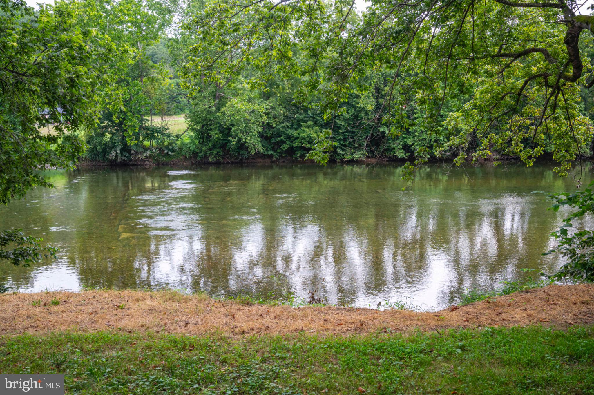 26 Burma Road Front Royal, VA 22630 - Photo 2 of 24 This is what "river front" looks like!