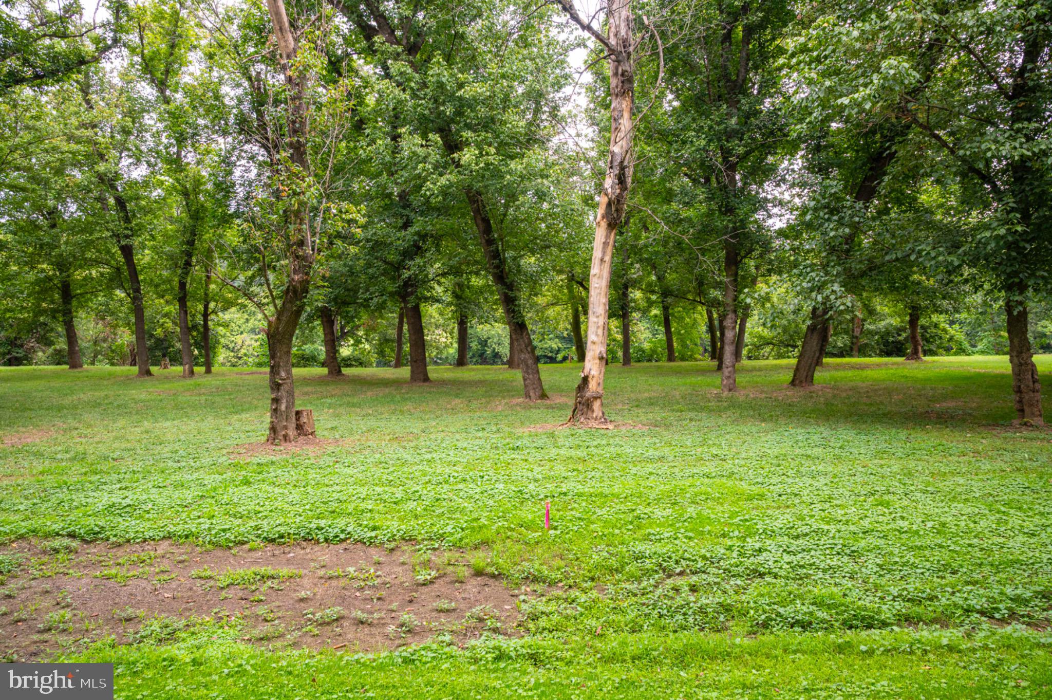 26 Burma Road Front Royal, VA 22630 - Photo 4 of 24 Beautiful park-like setting!