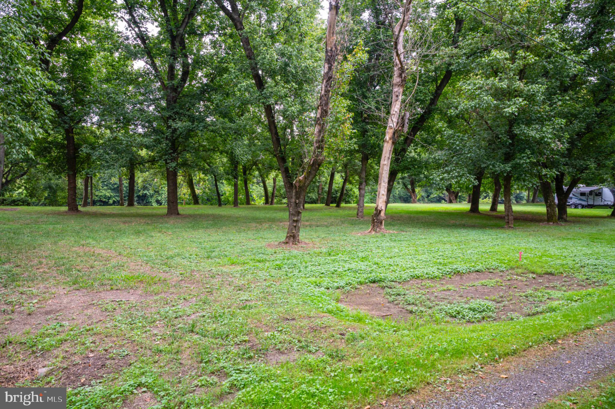 26 Burma Road Front Royal, VA 22630 - Photo 5 of 24 Beautiful park-like setting!