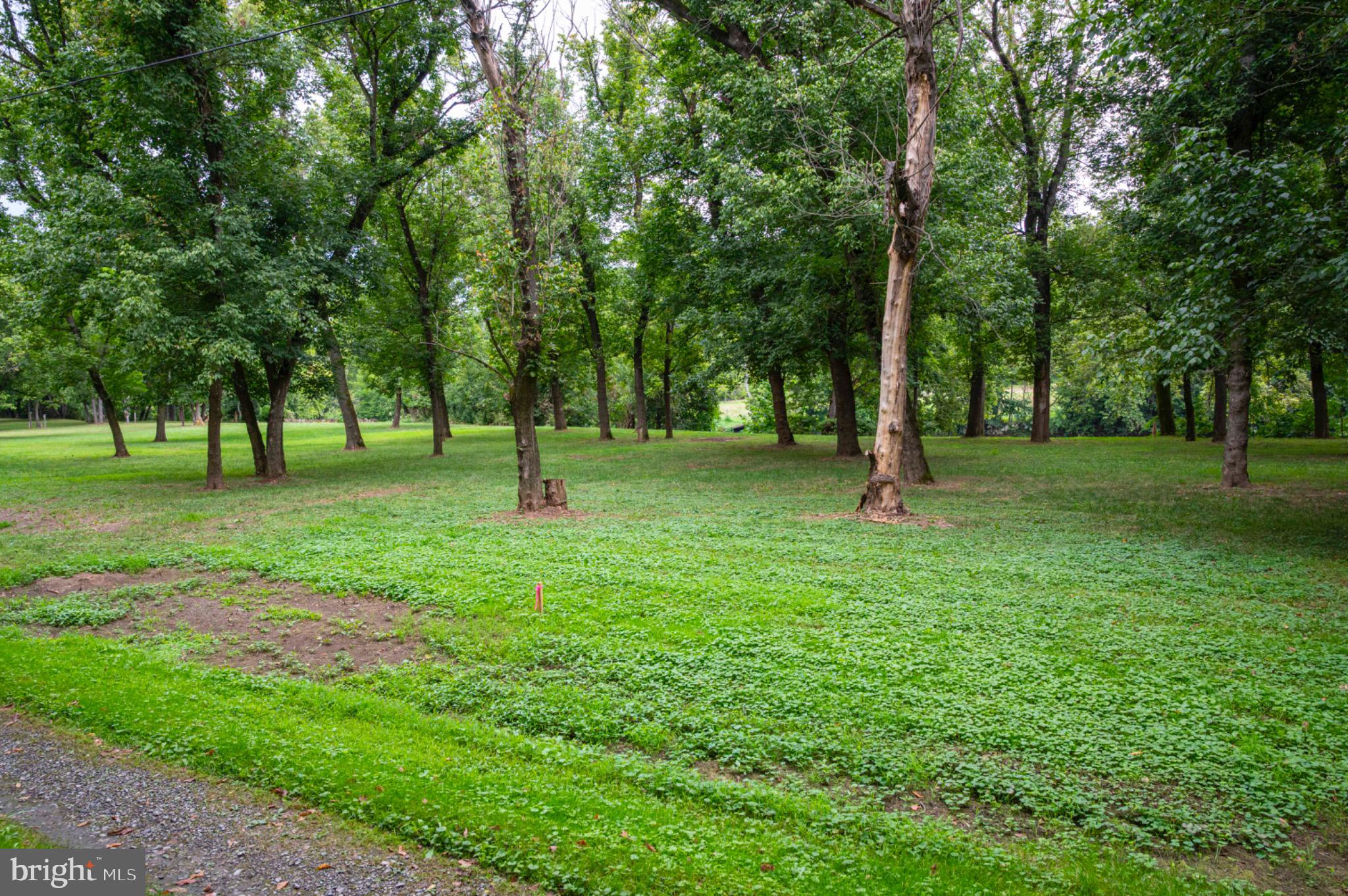 26 Burma Road Front Royal, VA 22630 - Photo 6 of 24 Beautiful park-like setting!