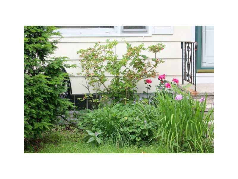 88 Brook Road Portland, ME 04103 - Photo 13 of 13 Yard/Garden.