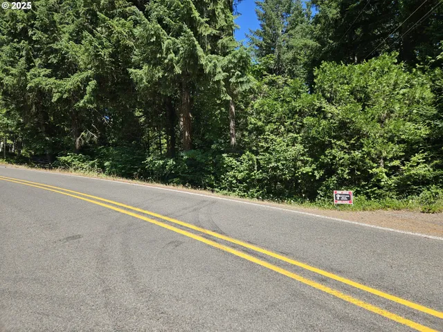 a view of a green field with some trees