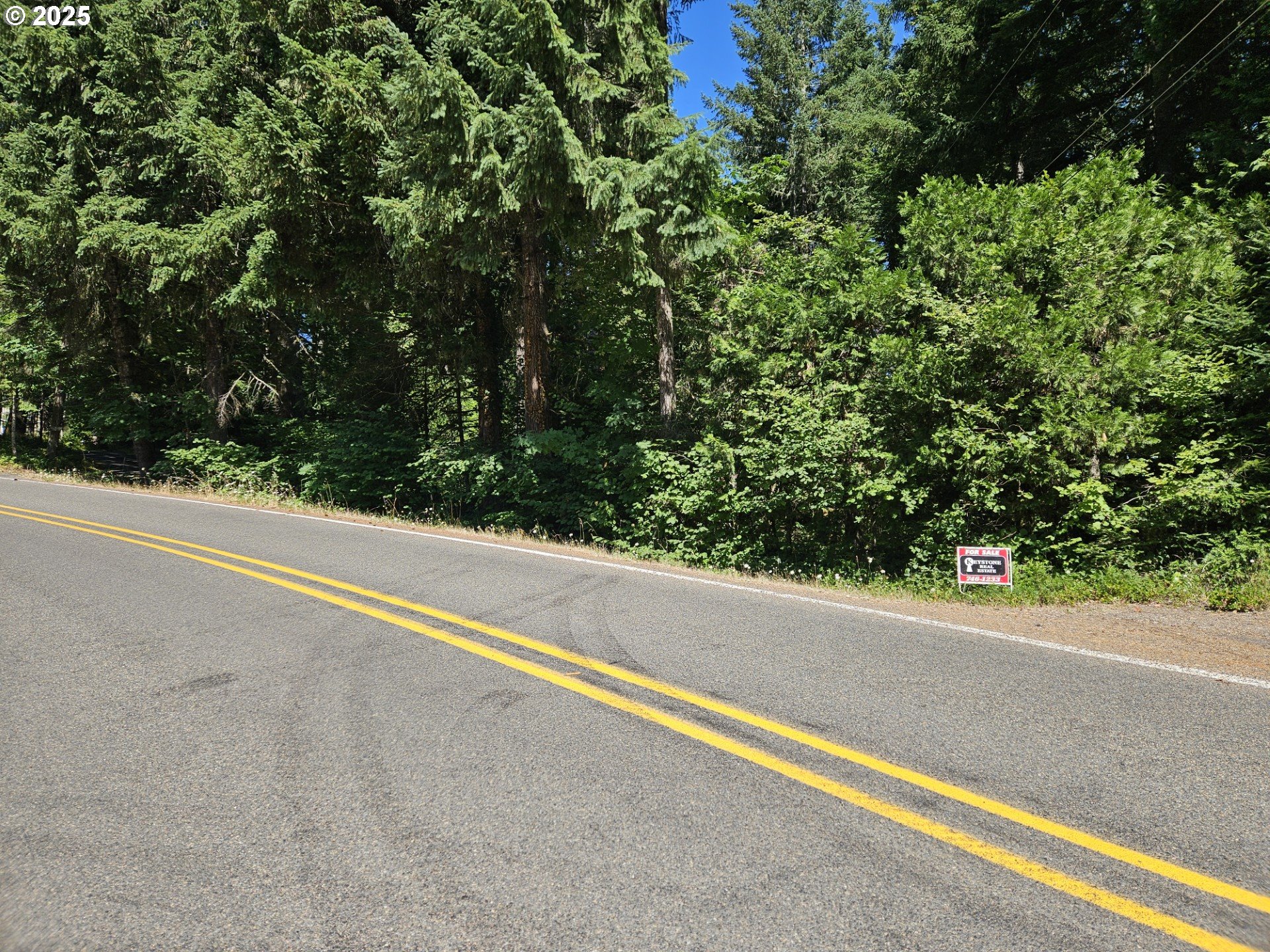a view of a green field with some trees