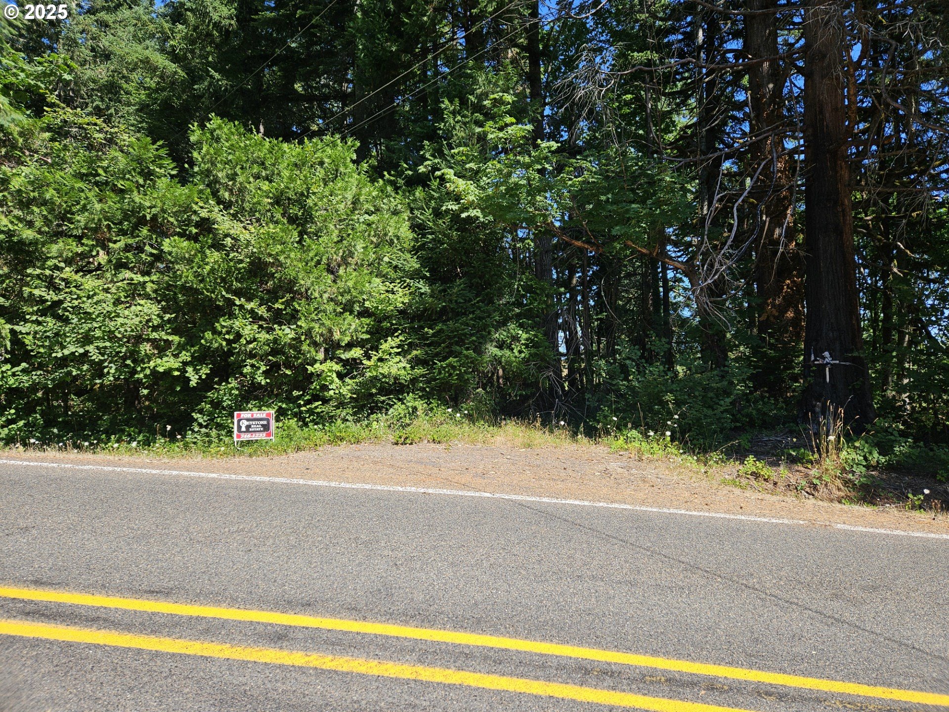 Undisclosed Address Springfield, OR 97478 - Photo 2 of 2 a view of a yard with a street