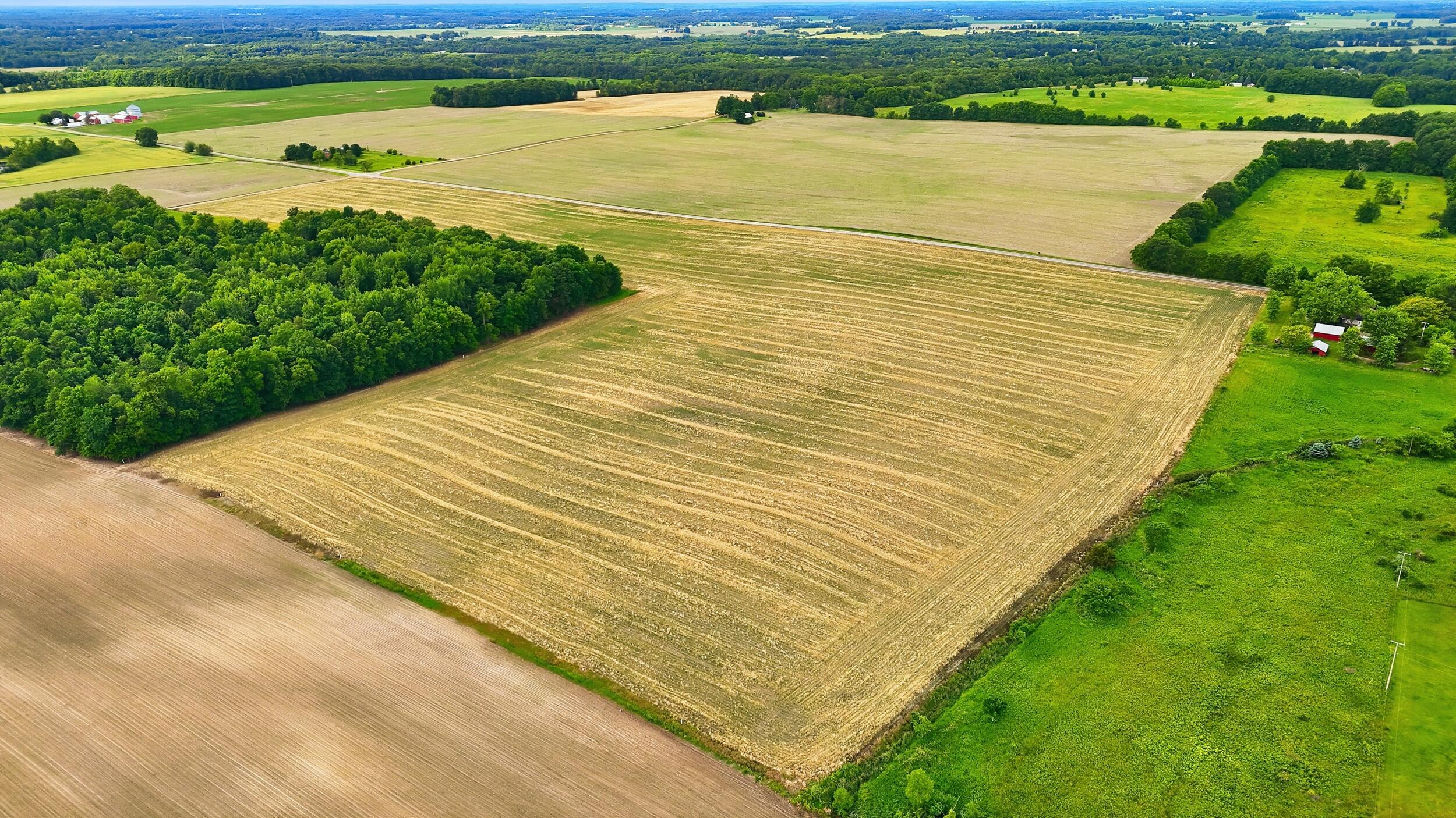 8785 Berry Road Reading, MI 49274 - Photo 9 of 61 9_dji_20260615094225_0009_d