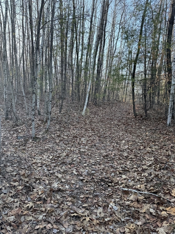 139 Nashua Road Pepperell, MA 01463 - Photo 5 of 6 a view of a yard with large trees