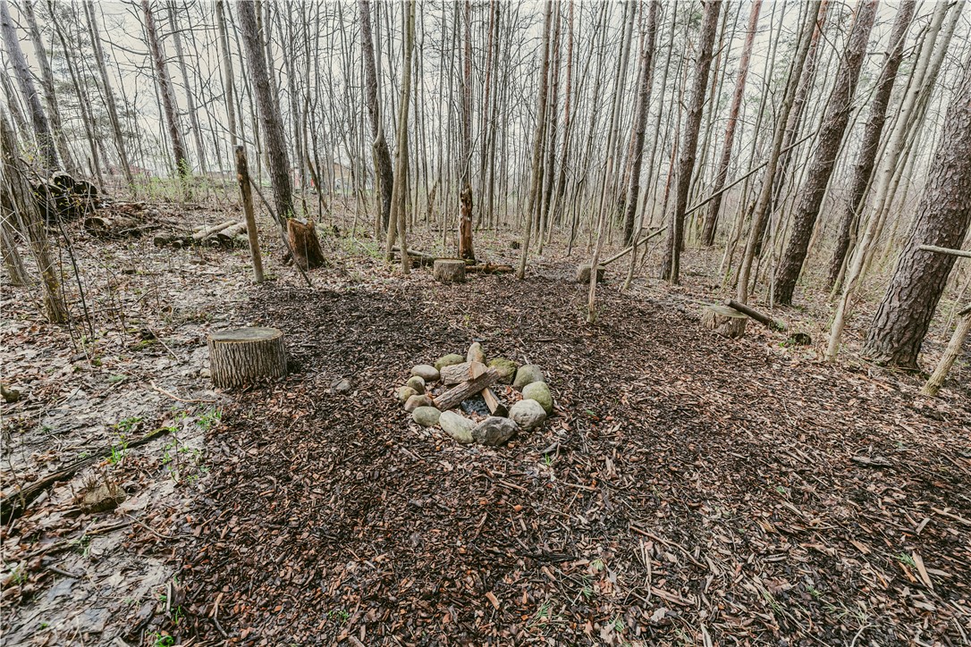 3742 Oakmount Road Bristol, NY 14469 - Photo 33 of 38