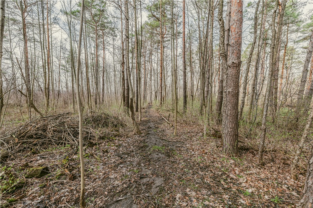 3742 Oakmount Road Bristol, NY 14469 - Photo 34 of 38