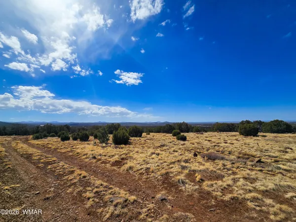 $7,500 | Lot 468 Show Low Pines, Unit 3, Concho, AZ 85924