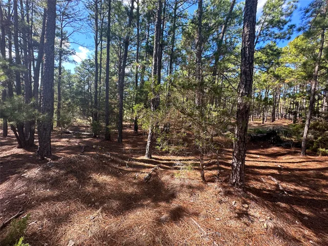 $37,000 | Lot 11 Hickory Ridge Drive, Bastrop, TX 78602