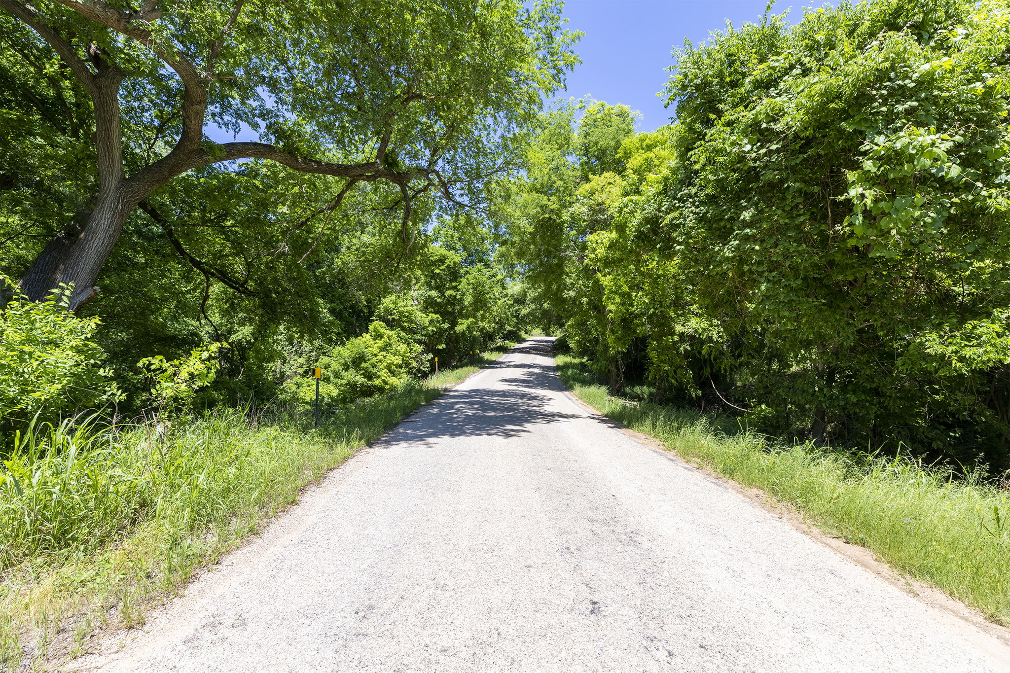 Lot 11 Hickory Ridge Drive Bastrop, TX 78602 - Photo 12 of 22 View of asphalt street