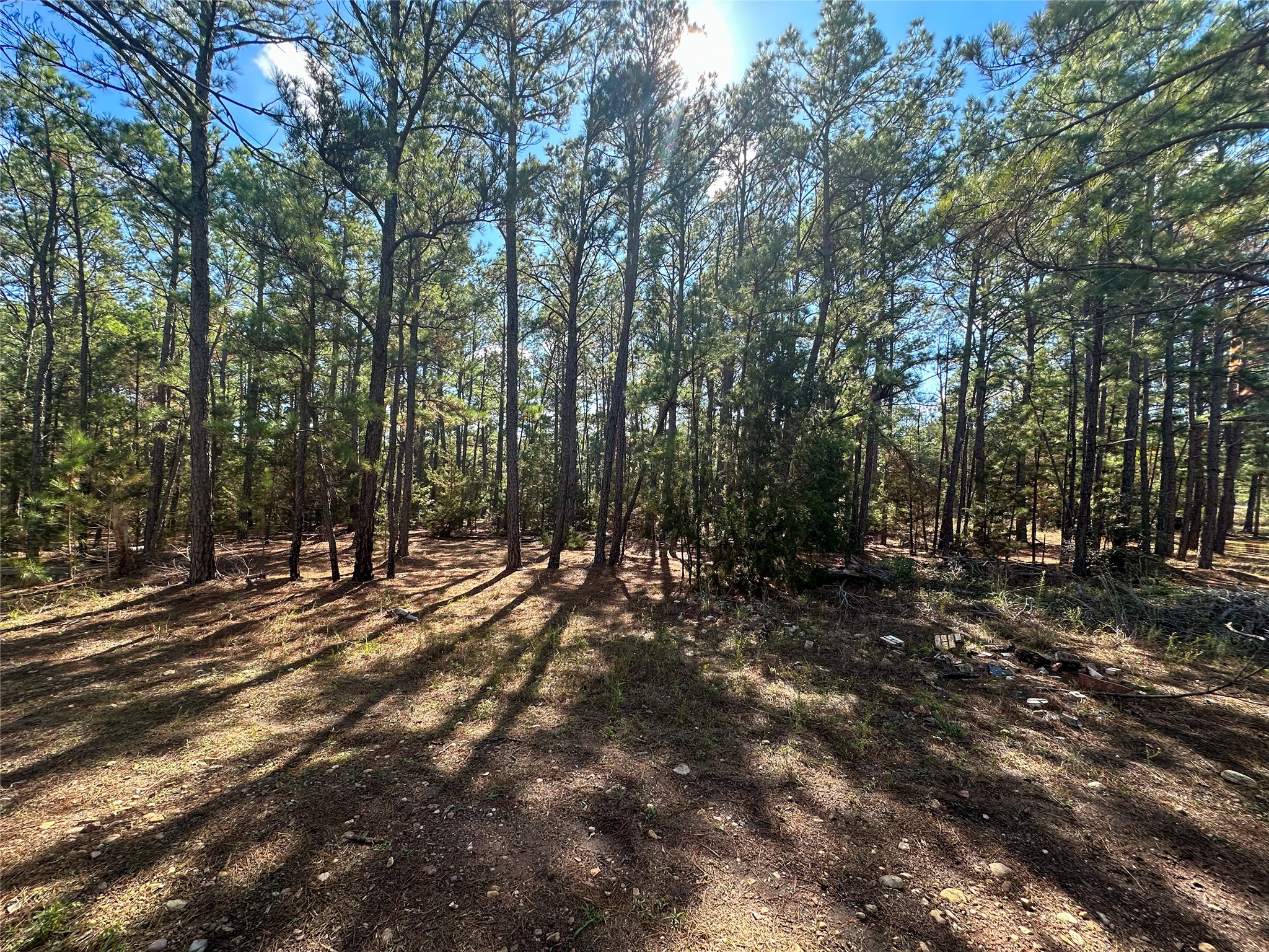 Lot 11 Hickory Ridge Drive Bastrop, TX 78602 - Photo 4 of 22 View of undeveloped land