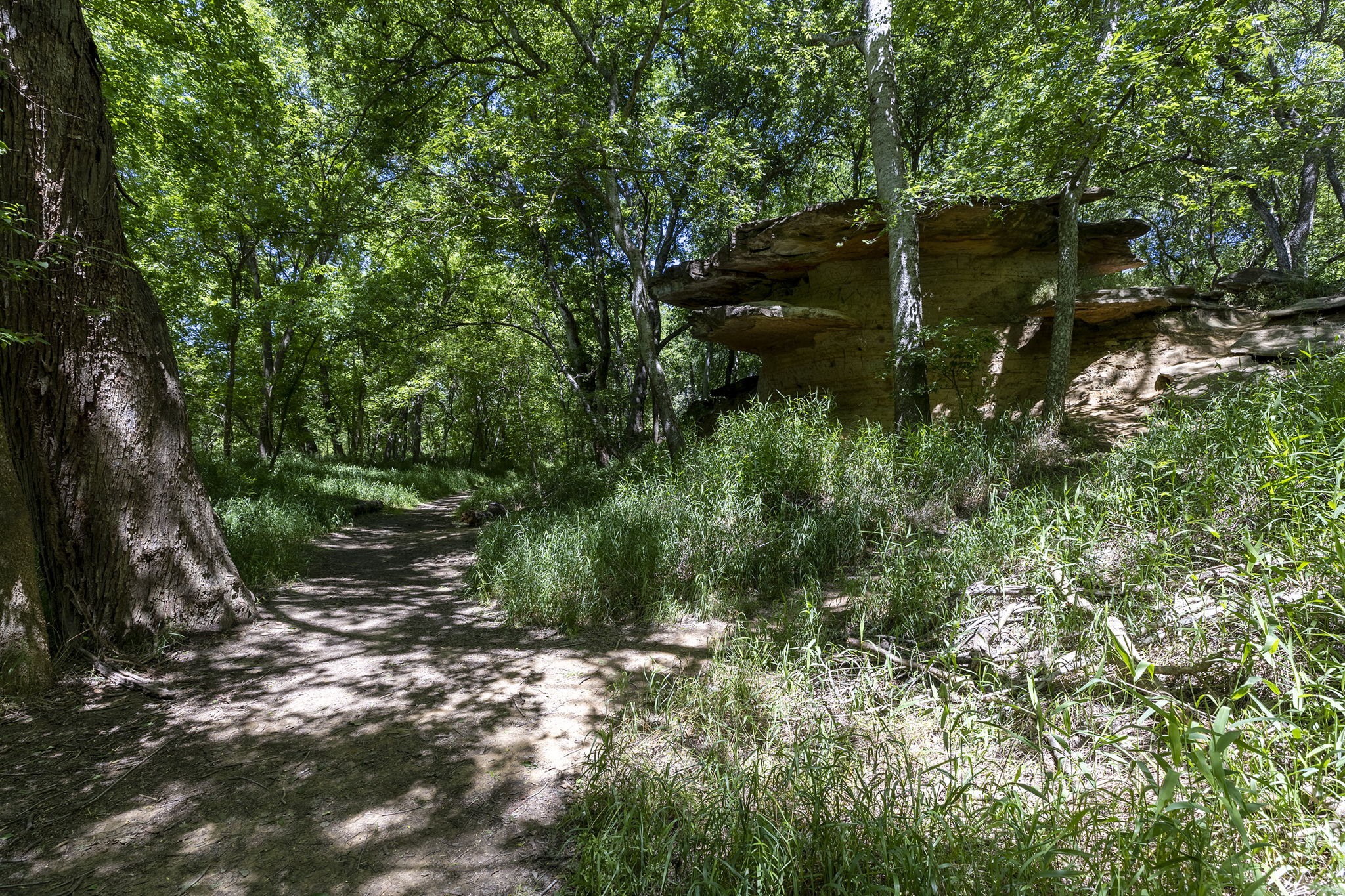 Lot 11 Hickory Ridge Drive Bastrop, TX 78602 - Photo 10 of 22 View of undeveloped land