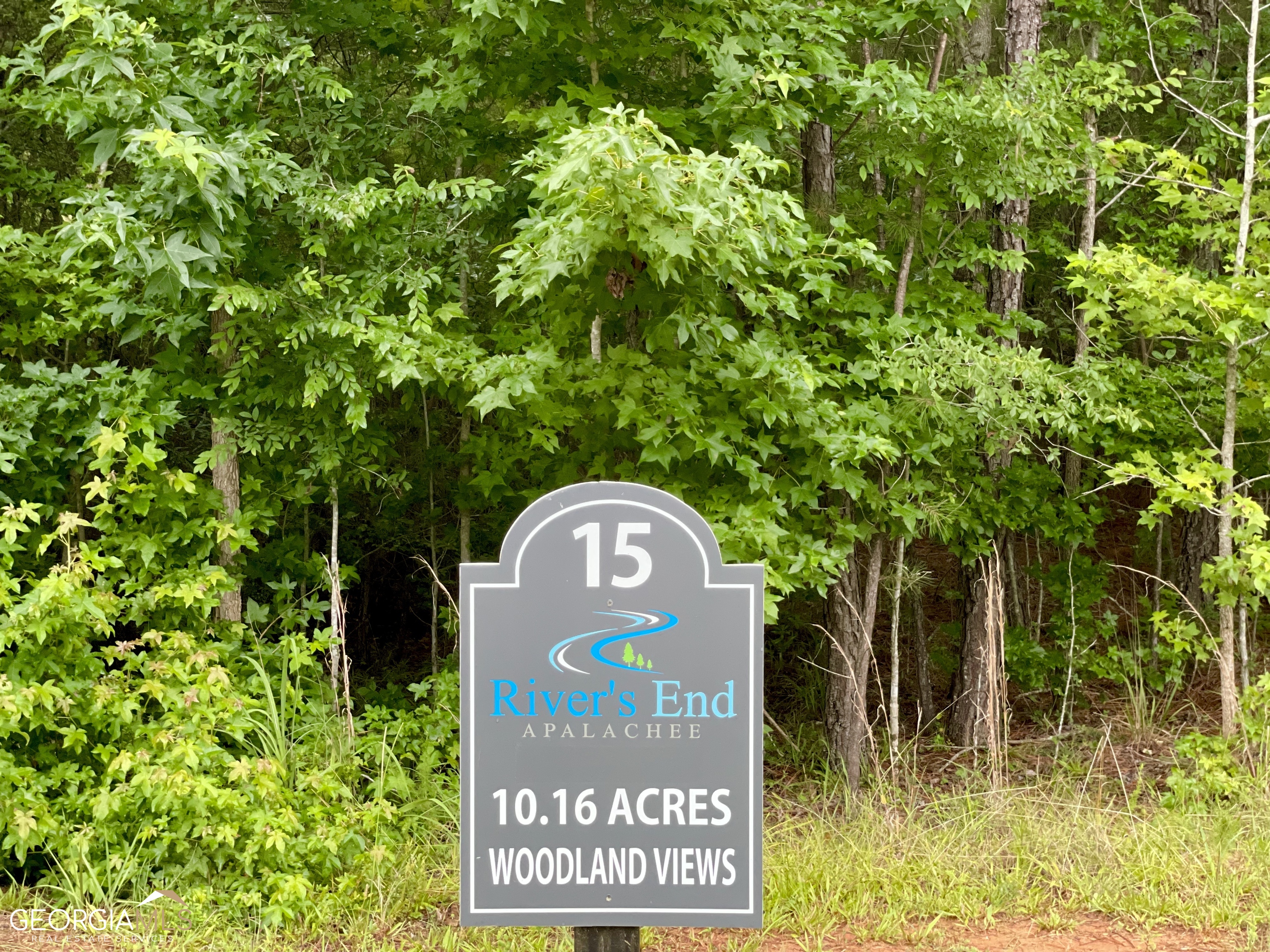 15 Apalachee Ridge Madison, GA 30650 - Photo 1 of 1 Gallery Image 1