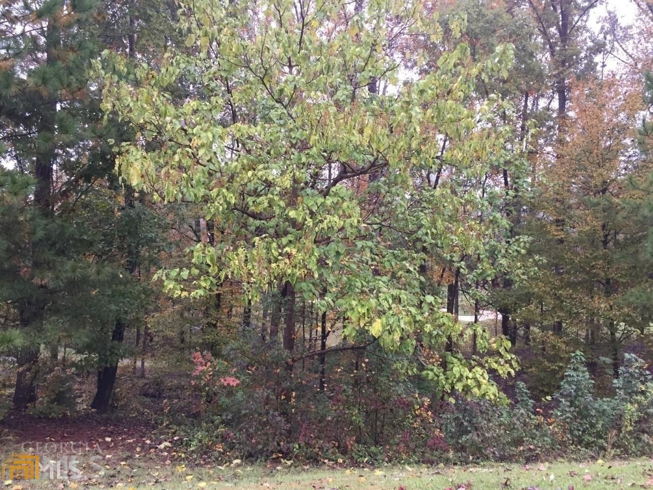 202 Equestrian Drive Forsyth, GA 31029 - Photo 1 of 1 a view of a yard