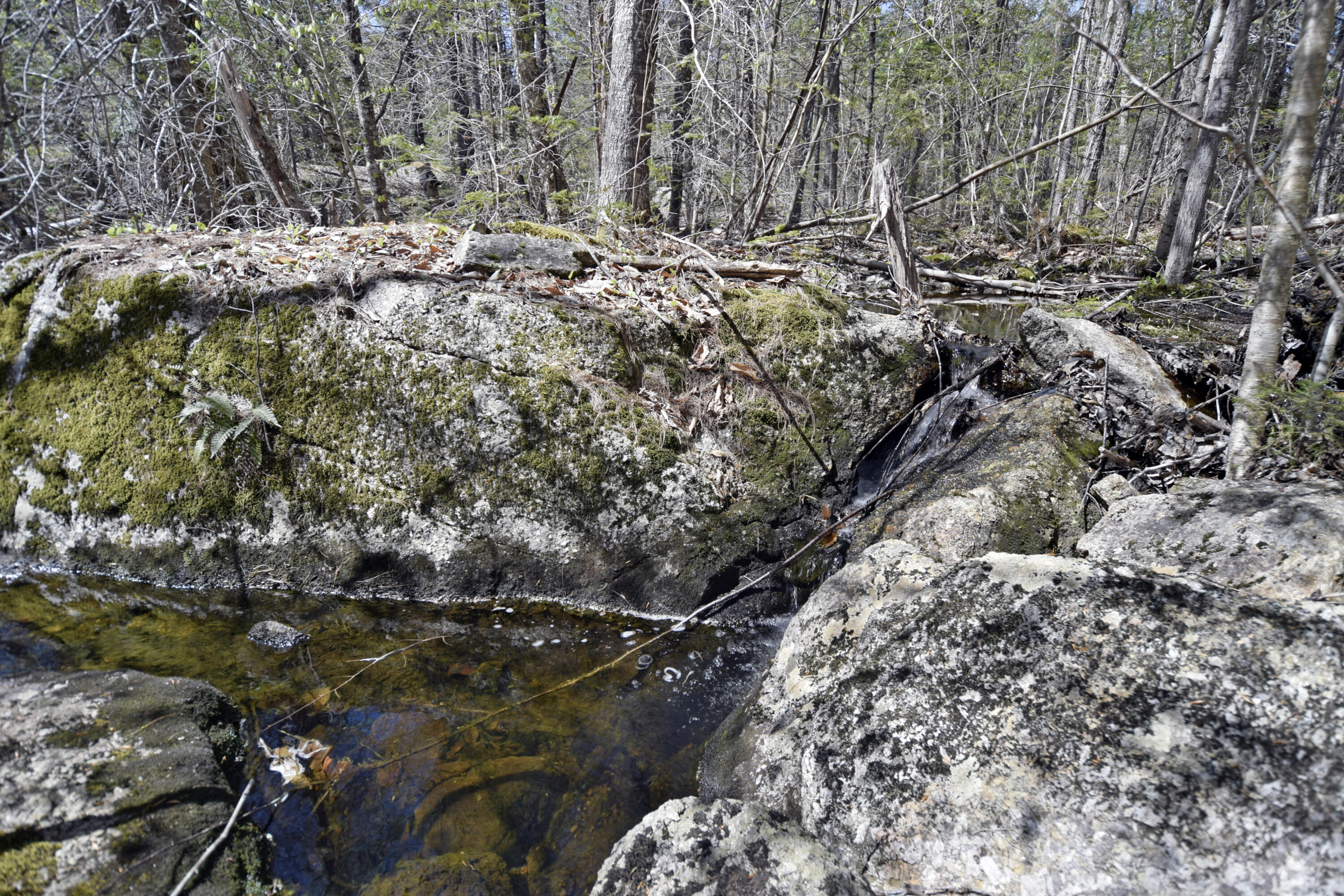 429 Winkumpaugh Road Ellsworth, ME 04605 - Photo 21 of 31 stream 1