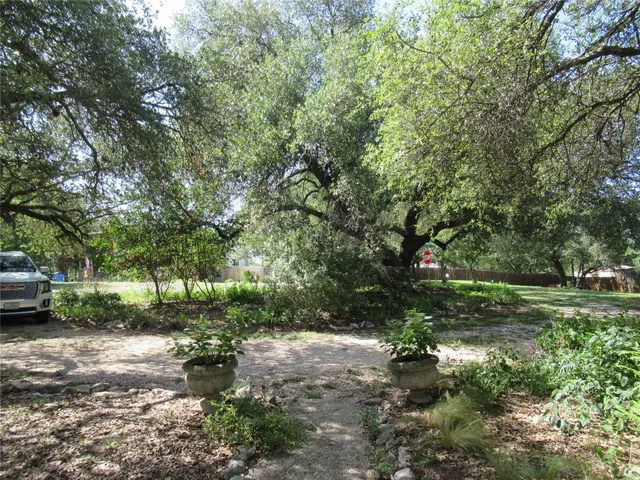 a view of a yard with plants and trees