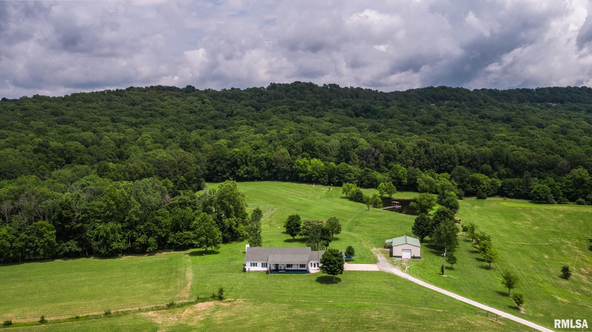 10891 Lick Creek Road Buncombe, IL 62912 - Photo 10 of 31