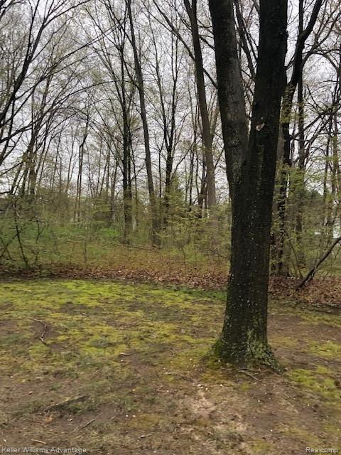 23065 Farmington Road Farmington, MI 48336 - Photo 14 of 14