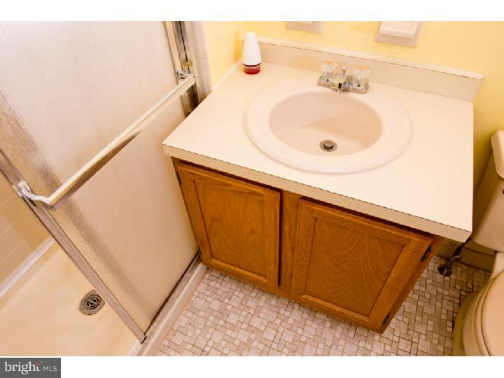 7923-31 Ridge Avenue, Unit 21 Philadelphia, PA 19128 - Photo 9 of 15 Master Bathroom