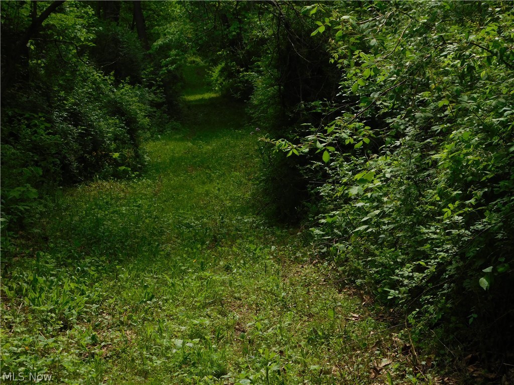 Dodd Road Brinkhaven, OH 43006 - Photo 4 of 5