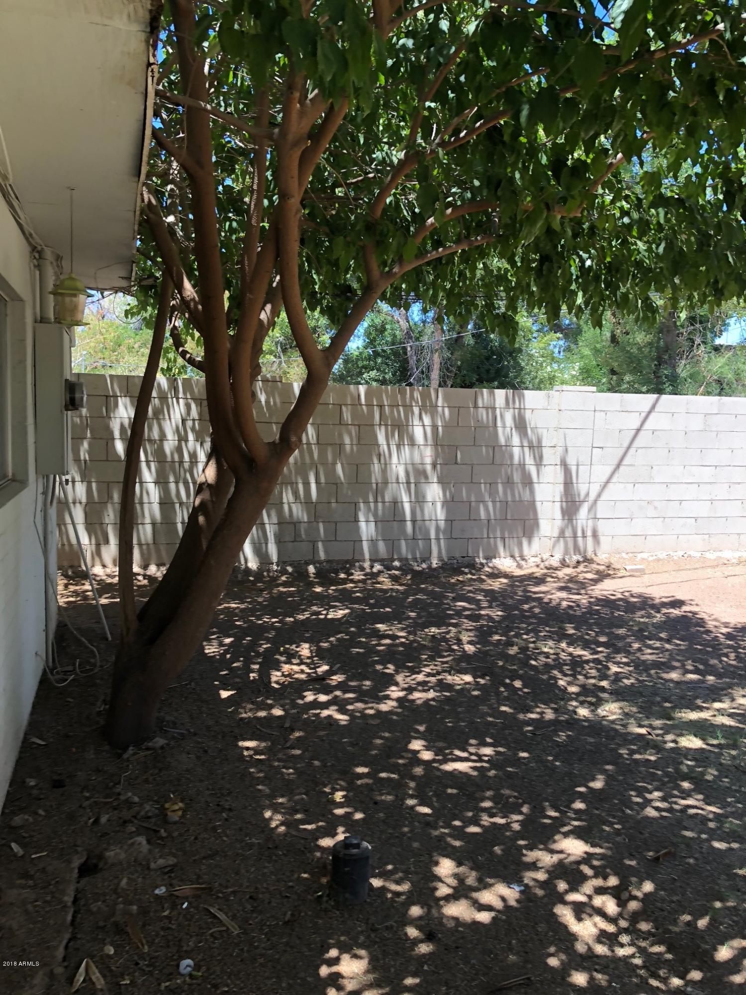 1340 East Hall Street Tempe, AZ 85281 - Photo 34 of 44 IMG_3949